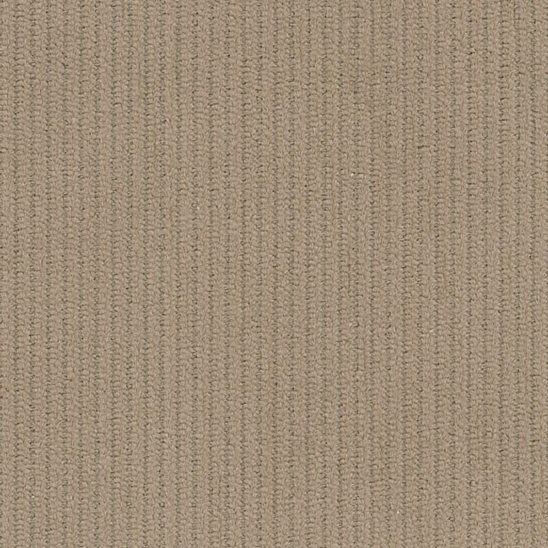 1824100 | Corduroys & Moleskin