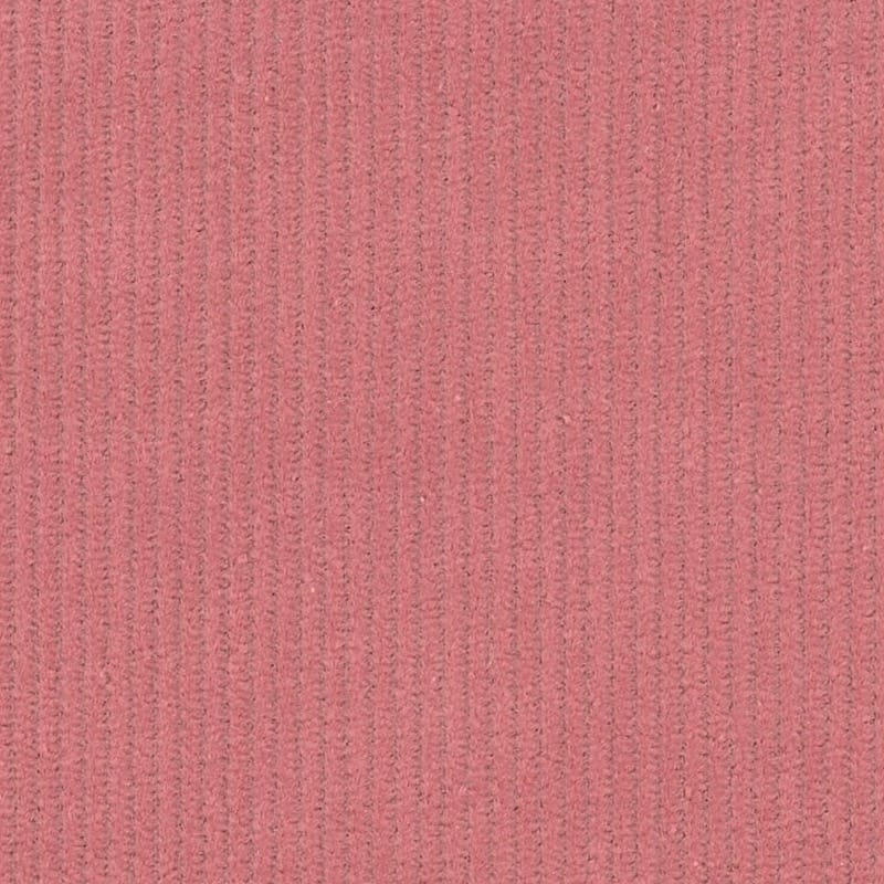 1824301 | Corduroys & Moleskin