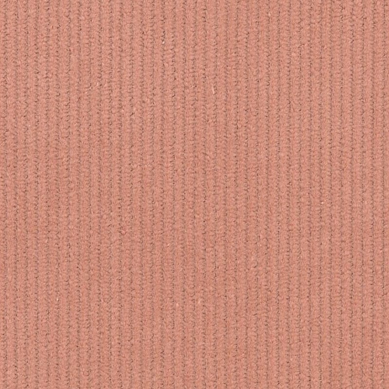 1824302 | Corduroys & Moleskin