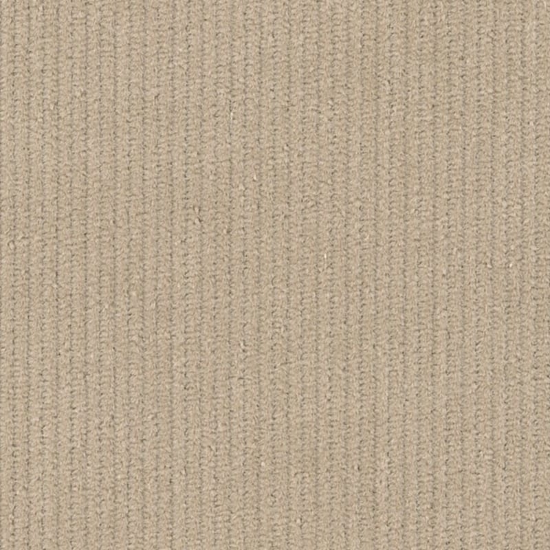 1824313 | Corduroys & Moleskin