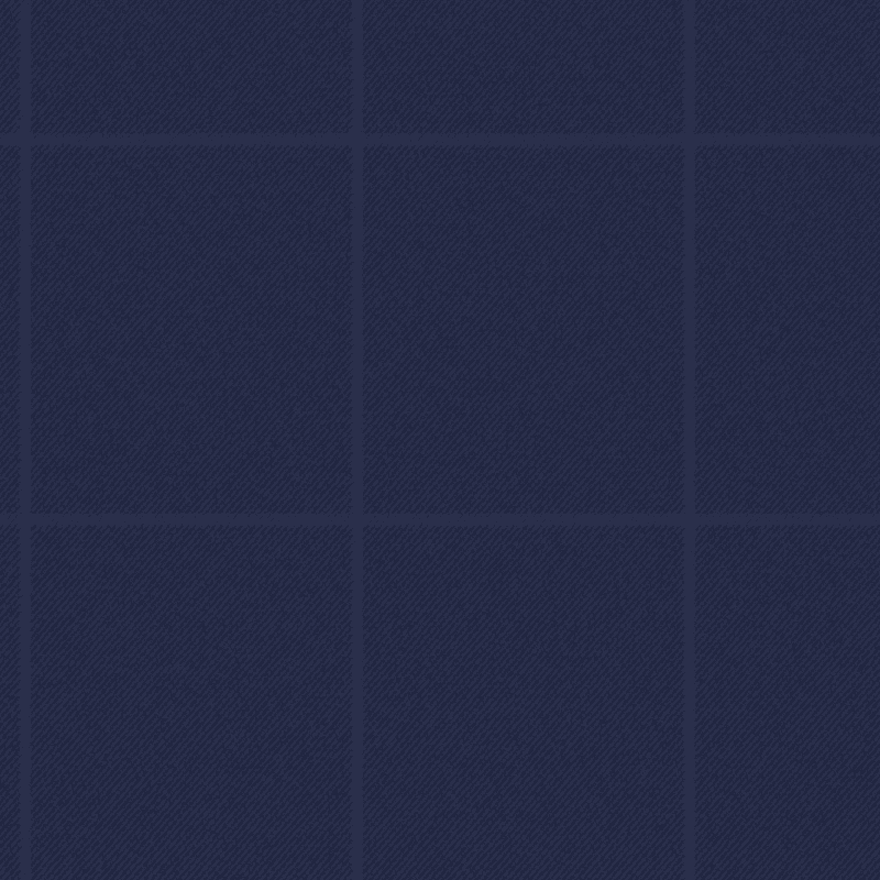 200 433/ 01 | Wallace 2