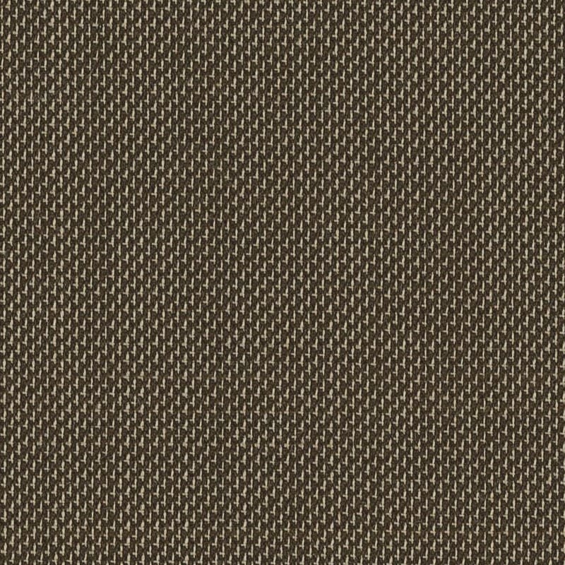 2423047 | Summer In The City