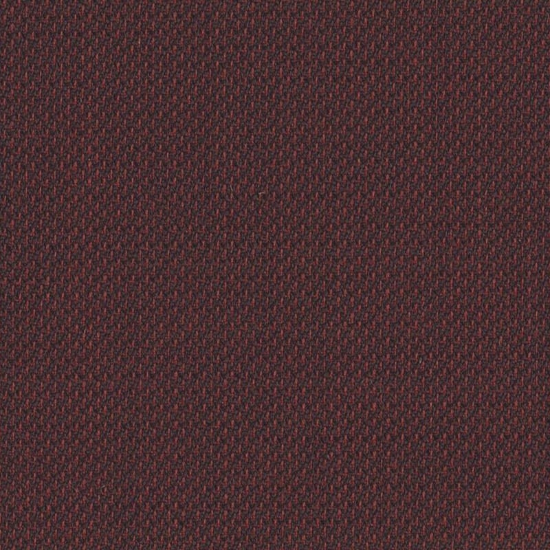 2423048 | Summer In The City