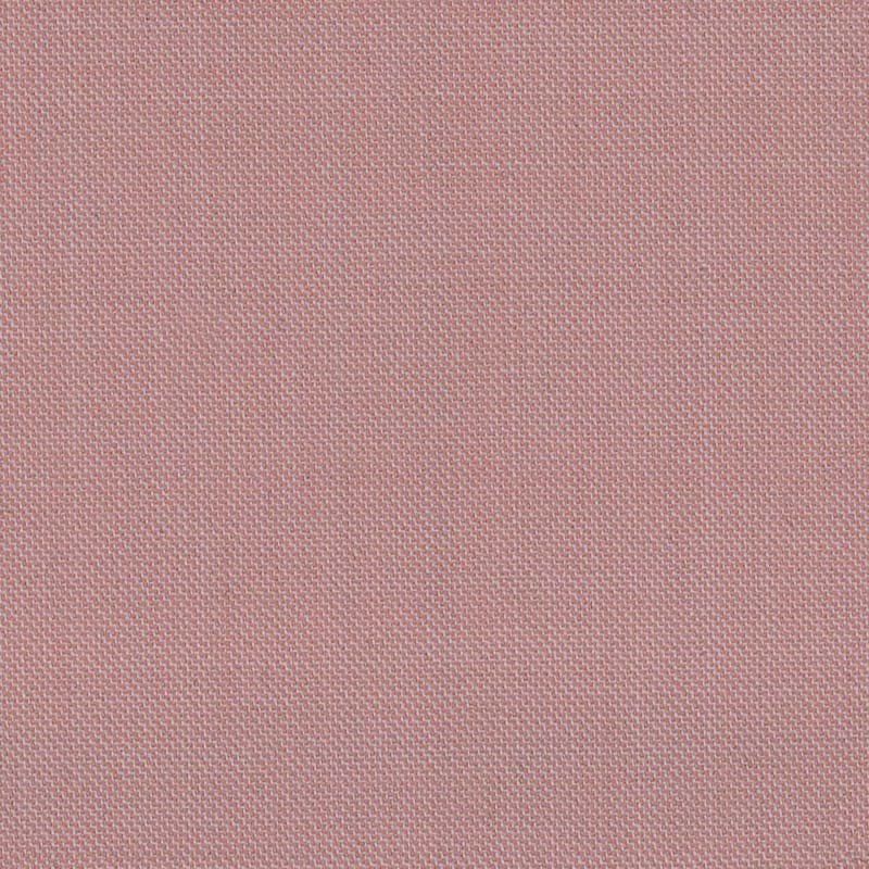 4124015 | Dragonfly Gotswyck