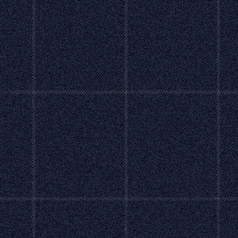 A407.007/02 | Curtain