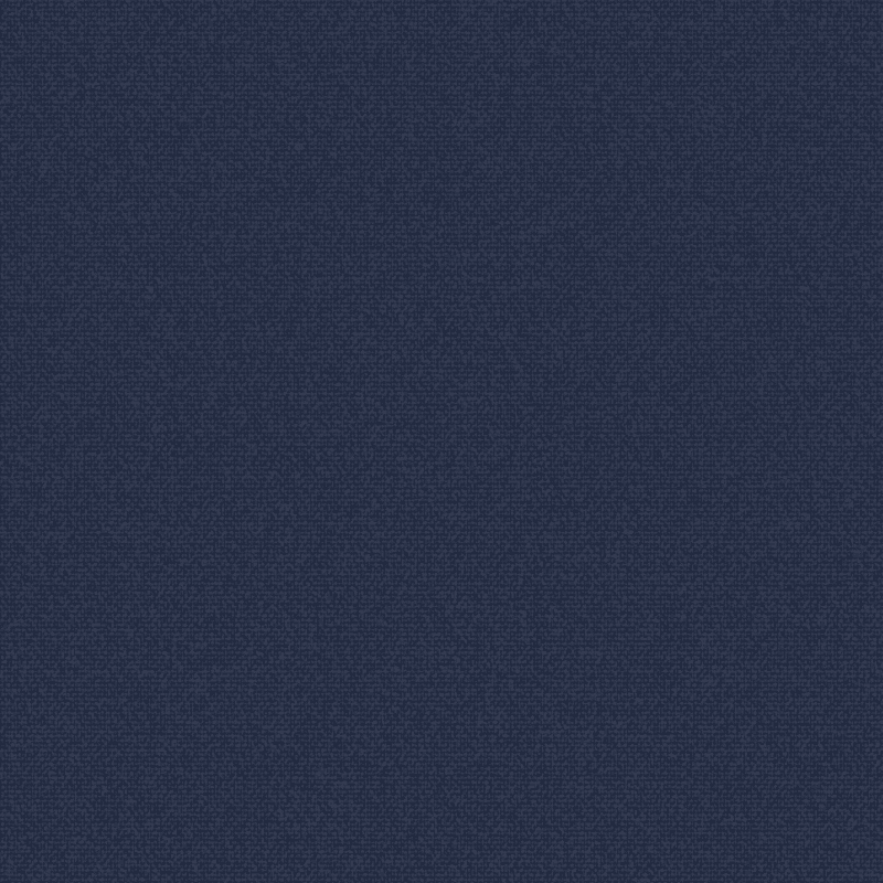 BWF493 900/ 9719 | Blue Feel 2